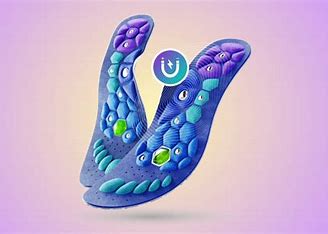 Akusoli Shoe Insoles Reviews